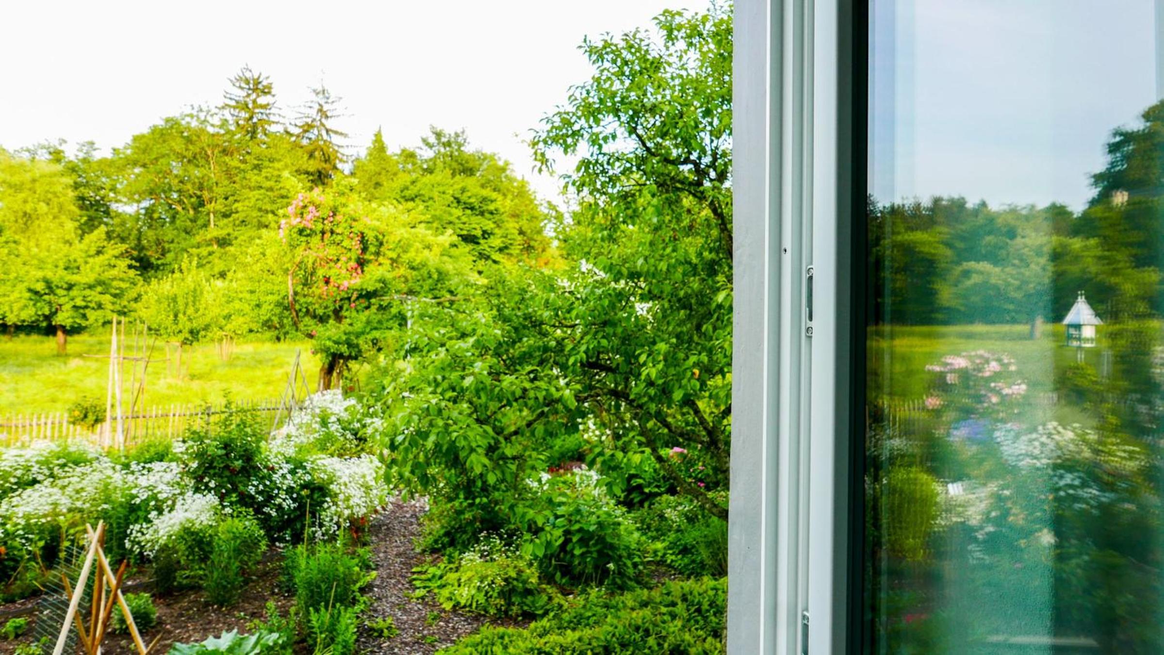Haus zum Nussbaum view 4