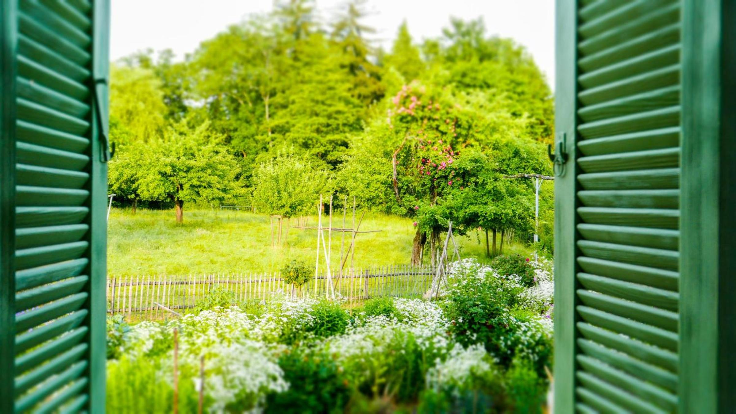 Haus zum Nussbaum view 5
