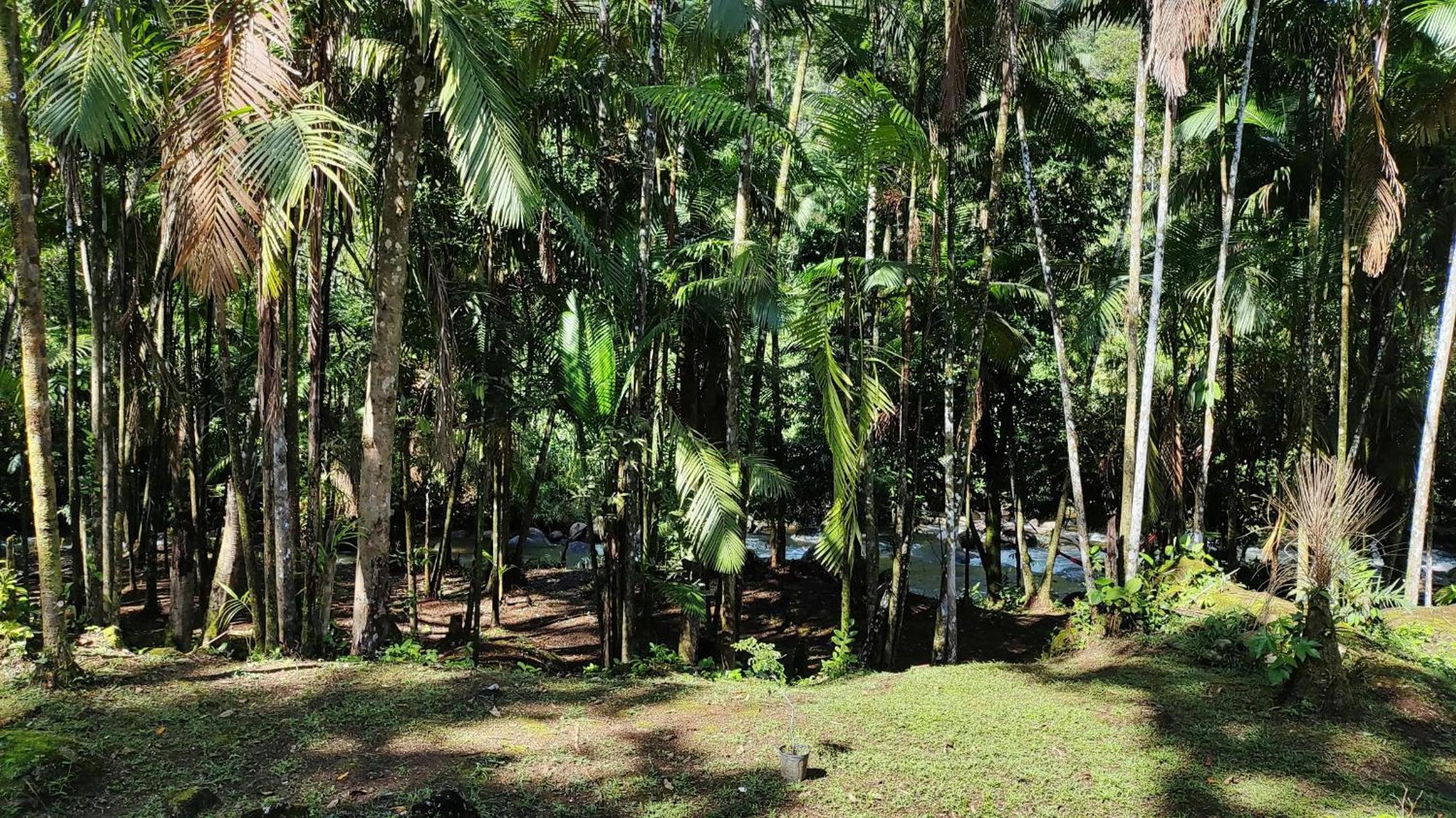 Quartos em sítio exuberante