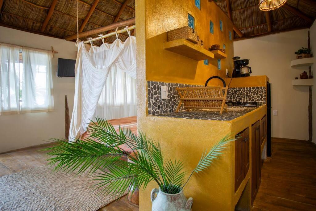 Panchos Paradise Cabaña Parota
