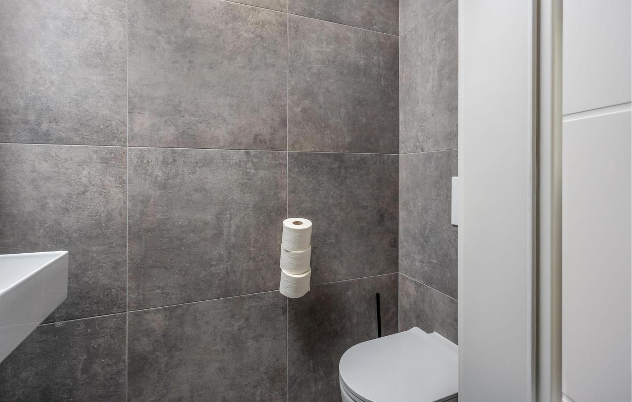Apartman Anica