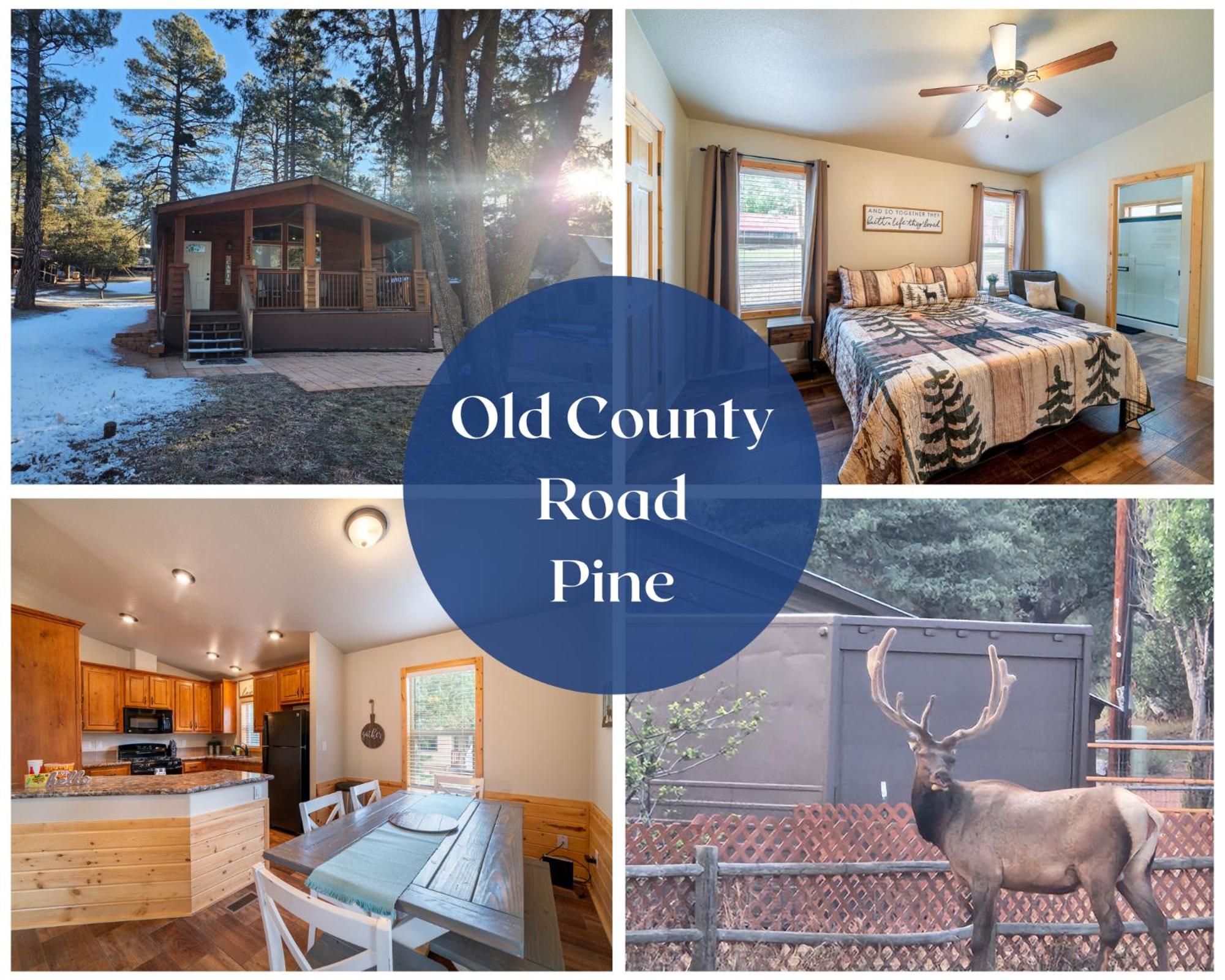 Payson Vacations - Old County Pine - Property Image 1