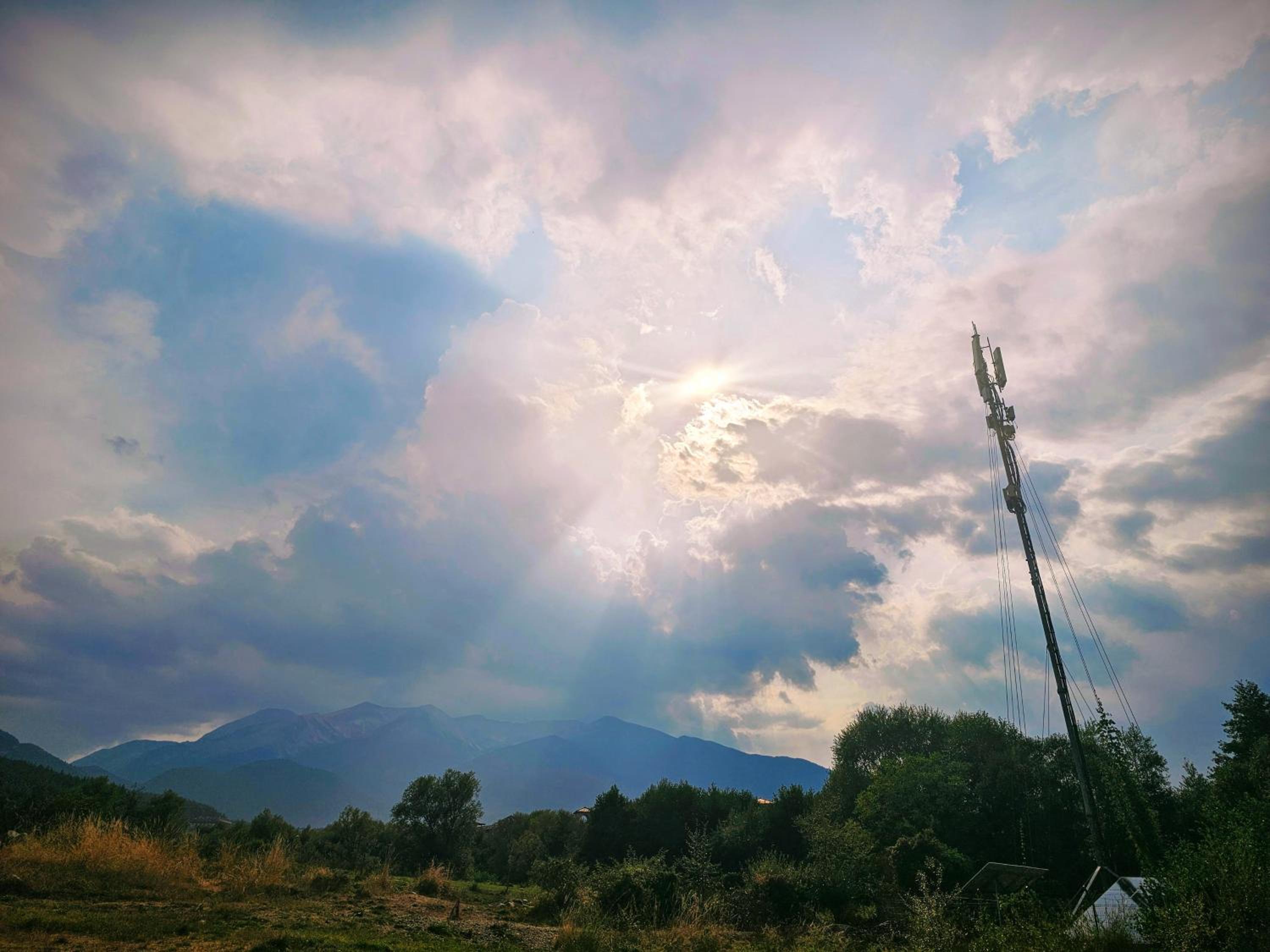 Photo 41