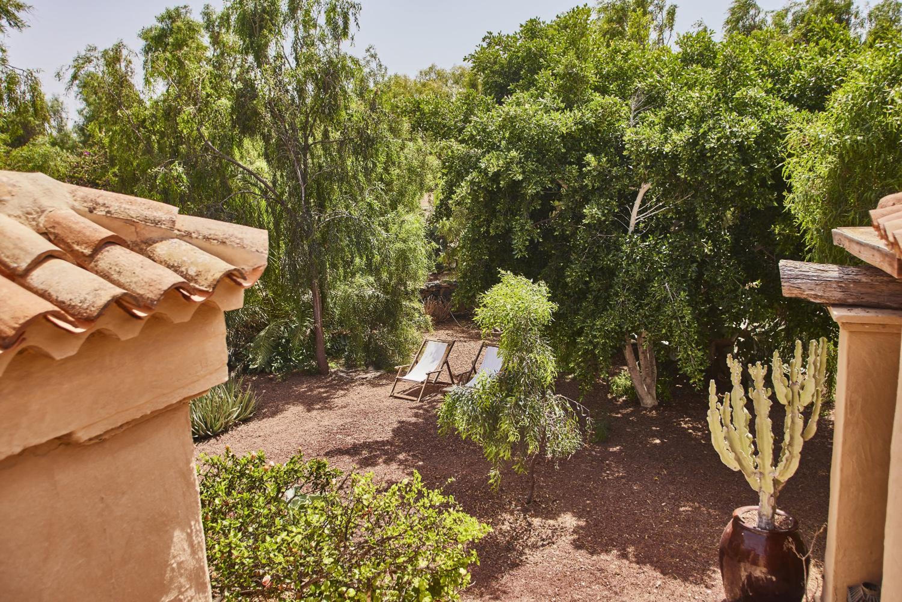 Oasis San Martin El Cotillo