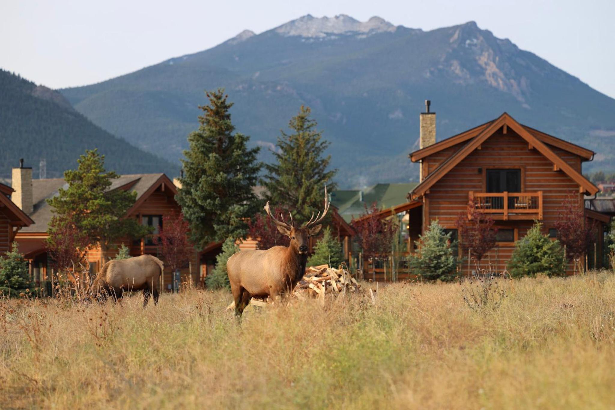 Relax in The Rockies – Located on Lake Estes, Jacuzzi and Indoor/Outdoor Fireplace