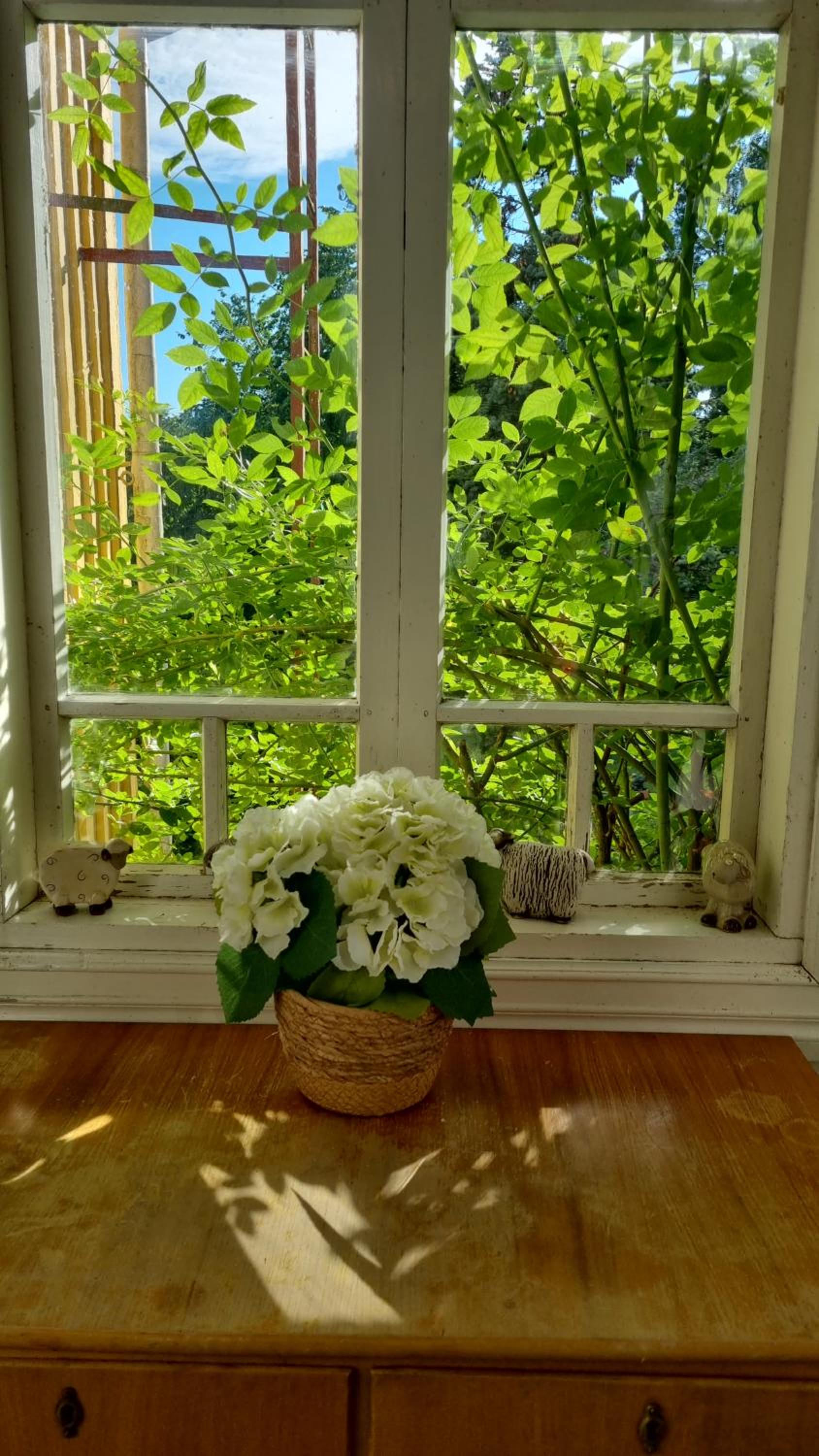 Villa and cottage by the sea view 4