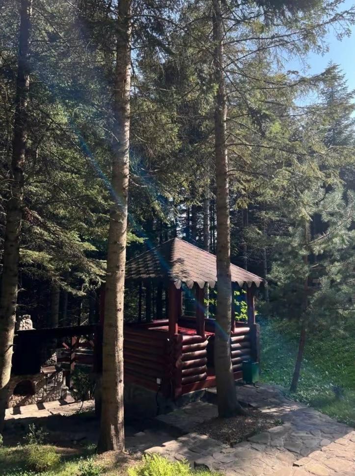 Ялинка view 4