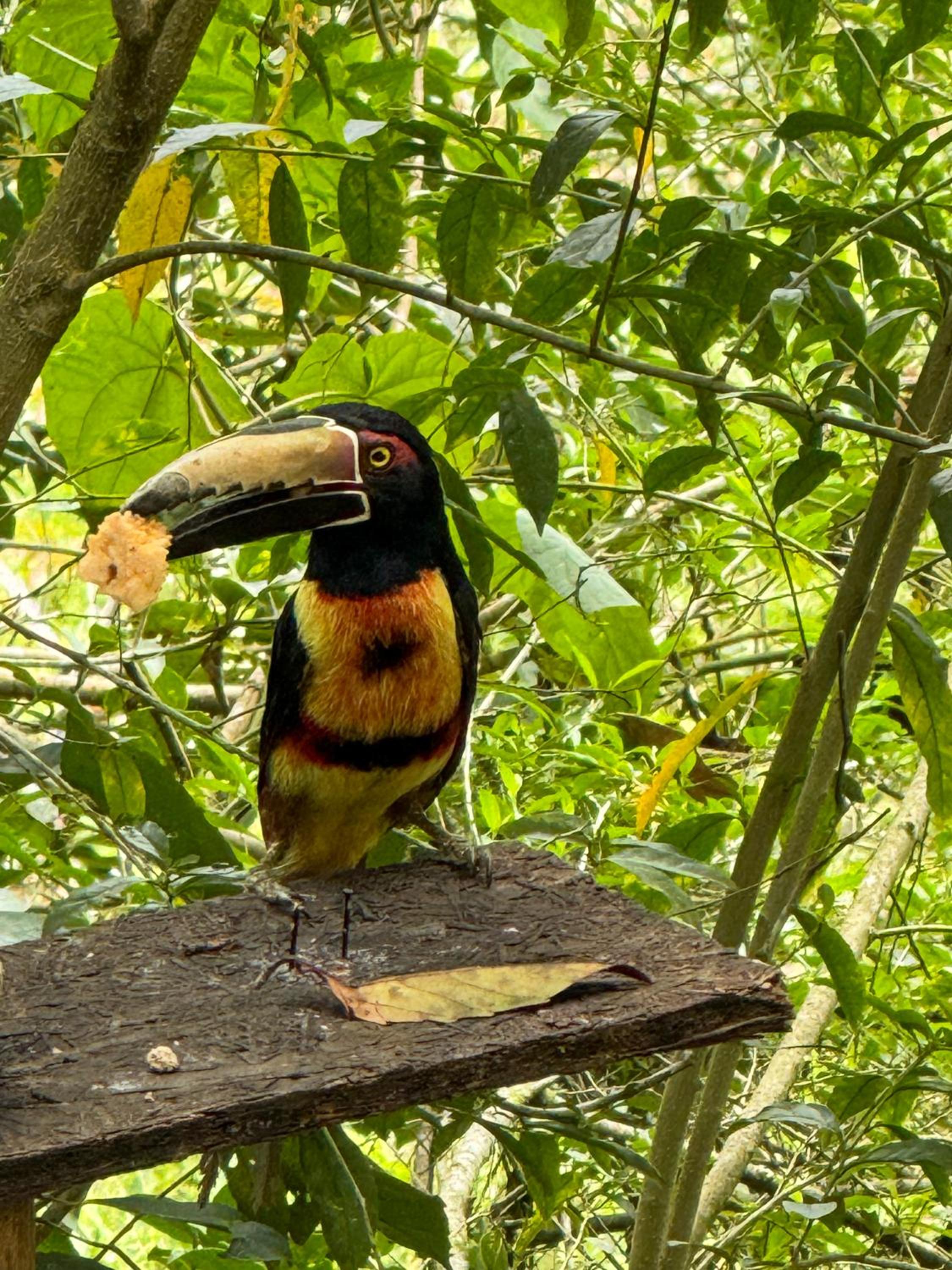 Casa Clandestina Campestre