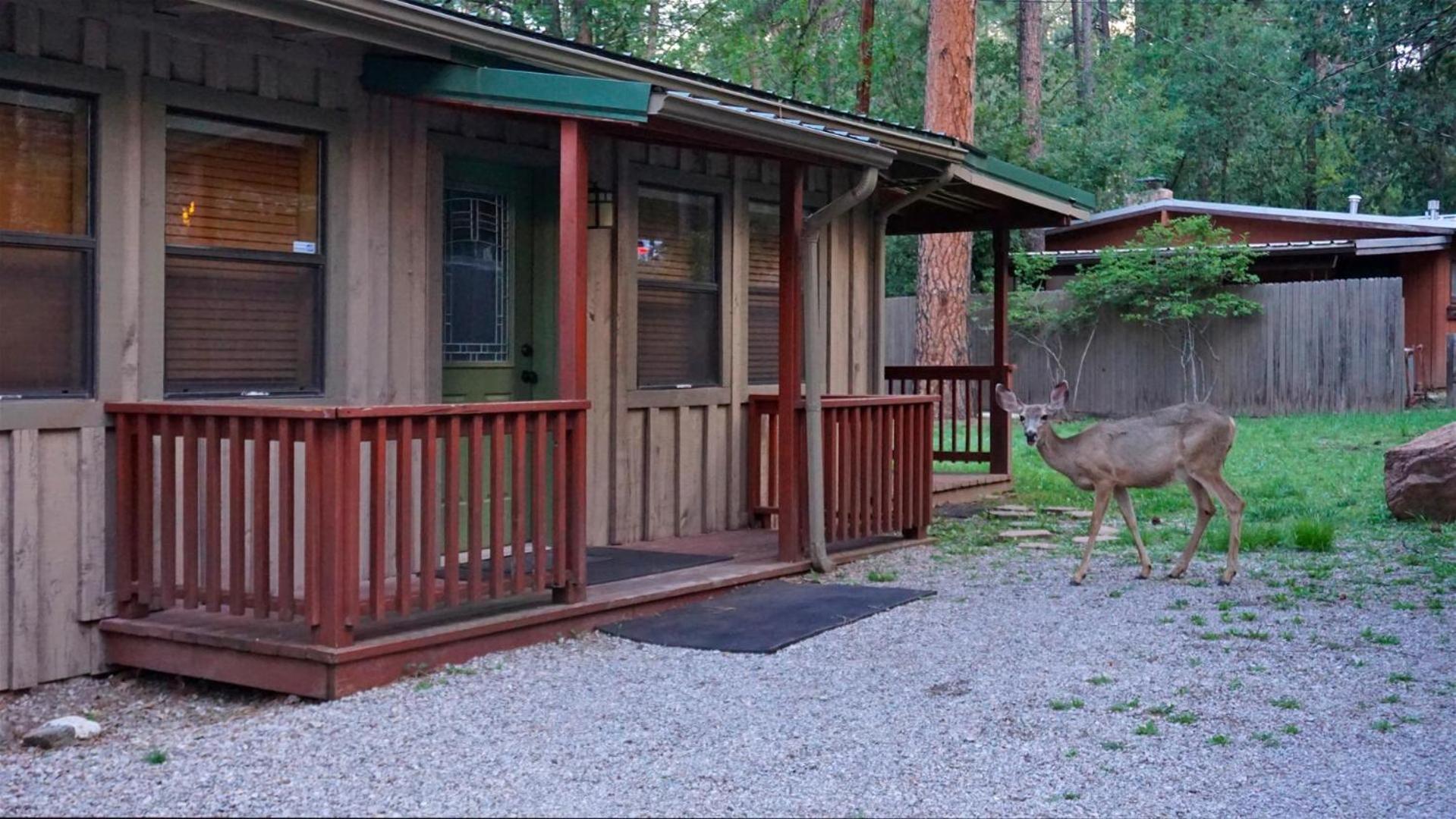A Stone`s Thoreau view 4