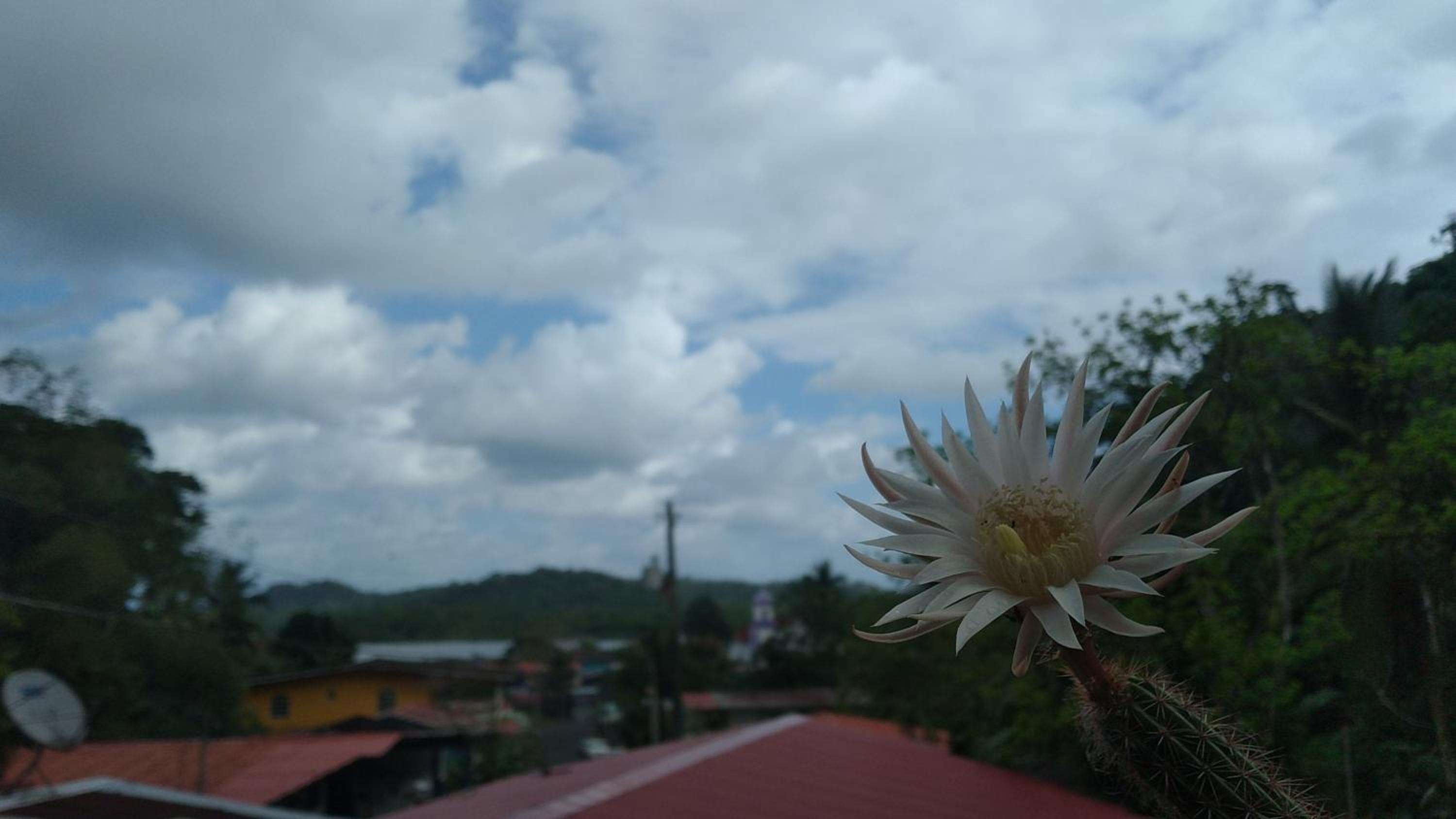 Hostal Portobelo