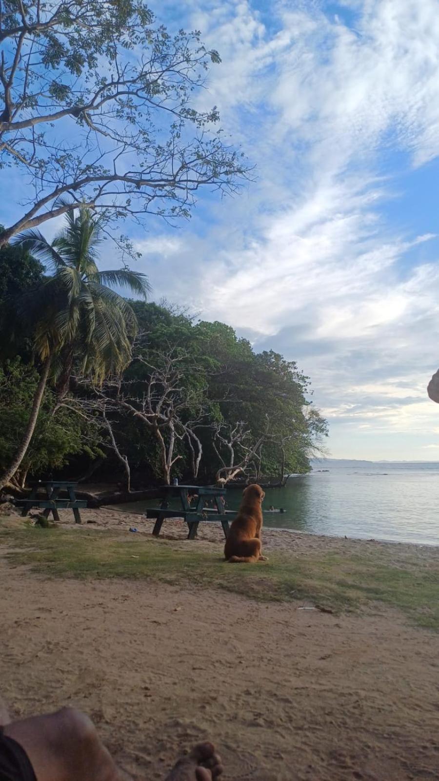 Hostal Portobelo