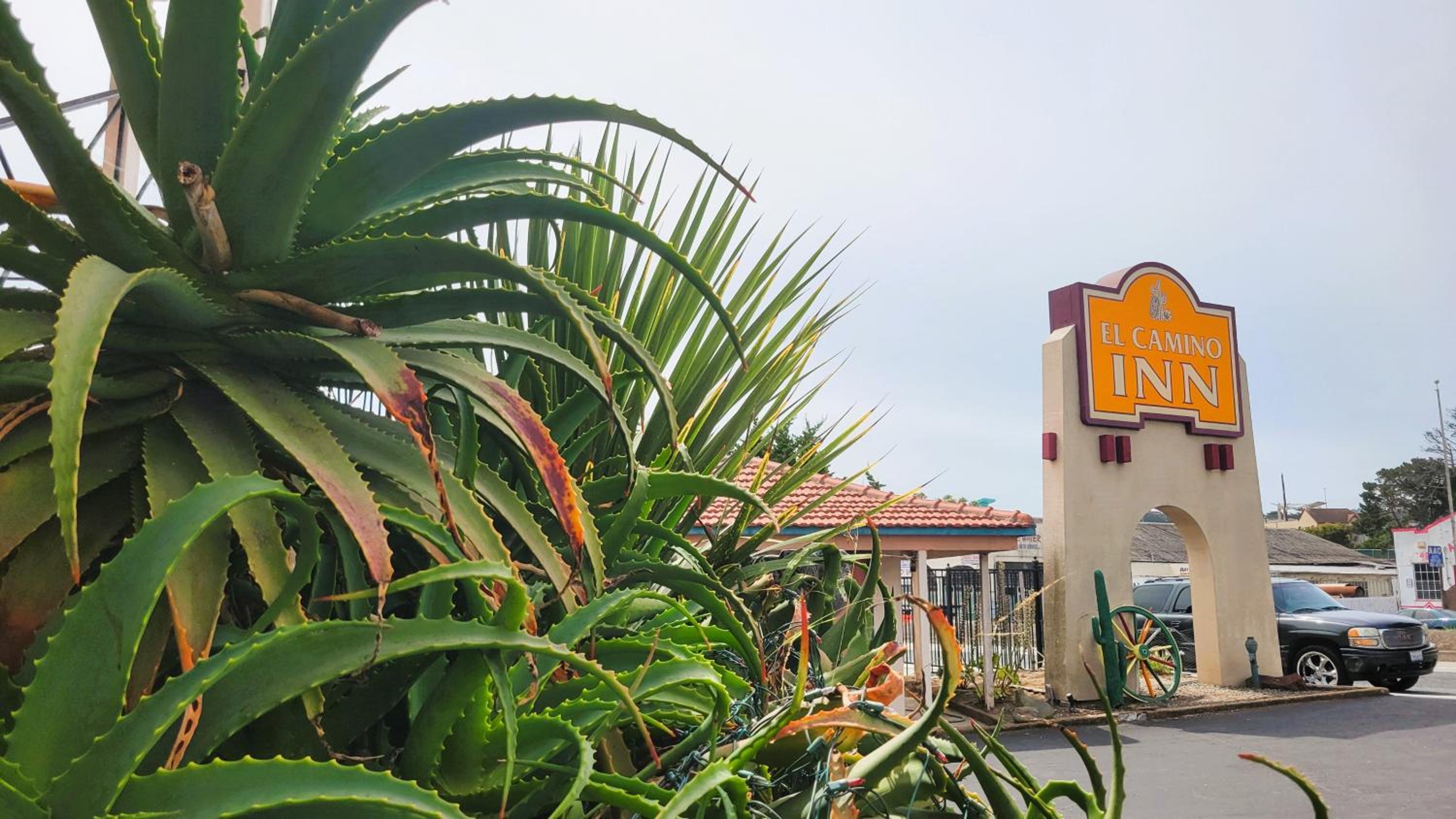 El Camino Inn