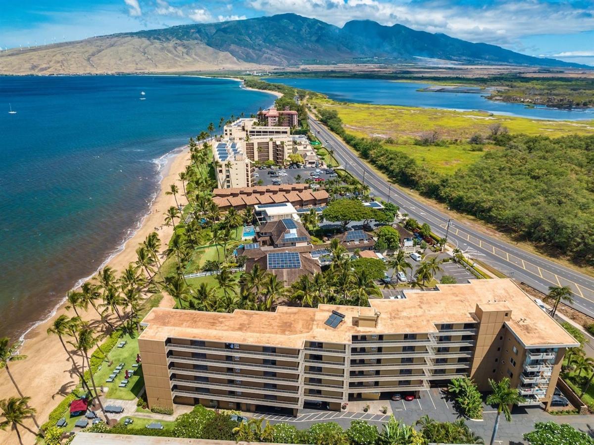 Beachfront Condo—3 bedrooms—Fully Renovated view 4