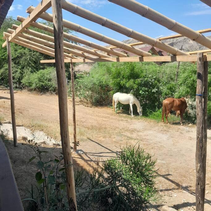 Casa Moksha view 2