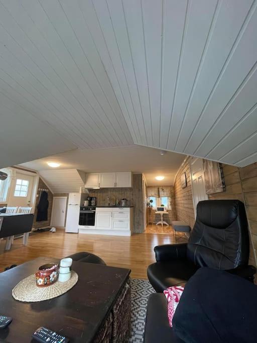 Koselig loftsleilighet sentrumsnært