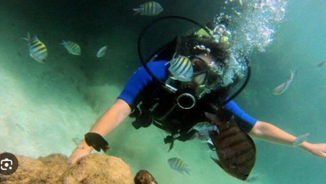 Flat dos Sonhos em Porto de Galinhas a poucos metros do mar