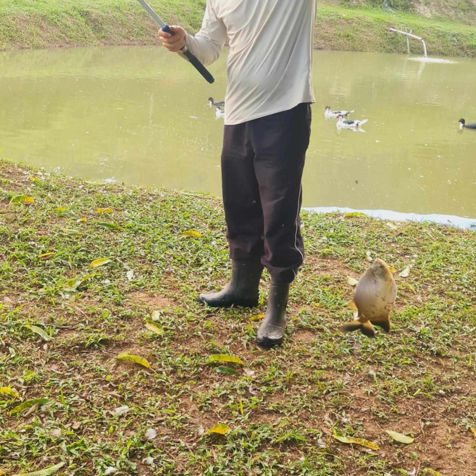 Sítio com piscina natural Cachoeiras de Macacu