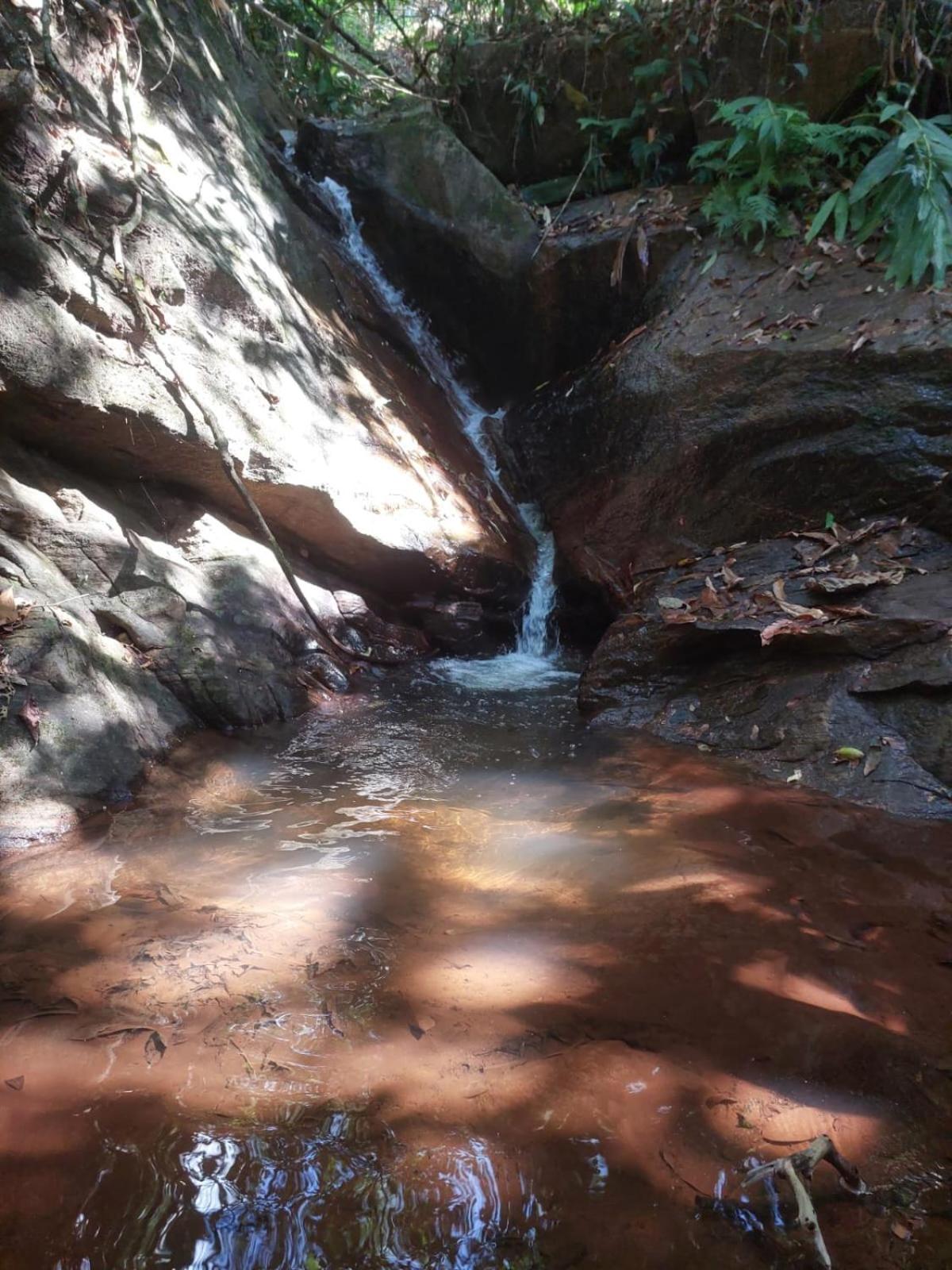 Sítio com piscina natural Cachoeiras de Macacu