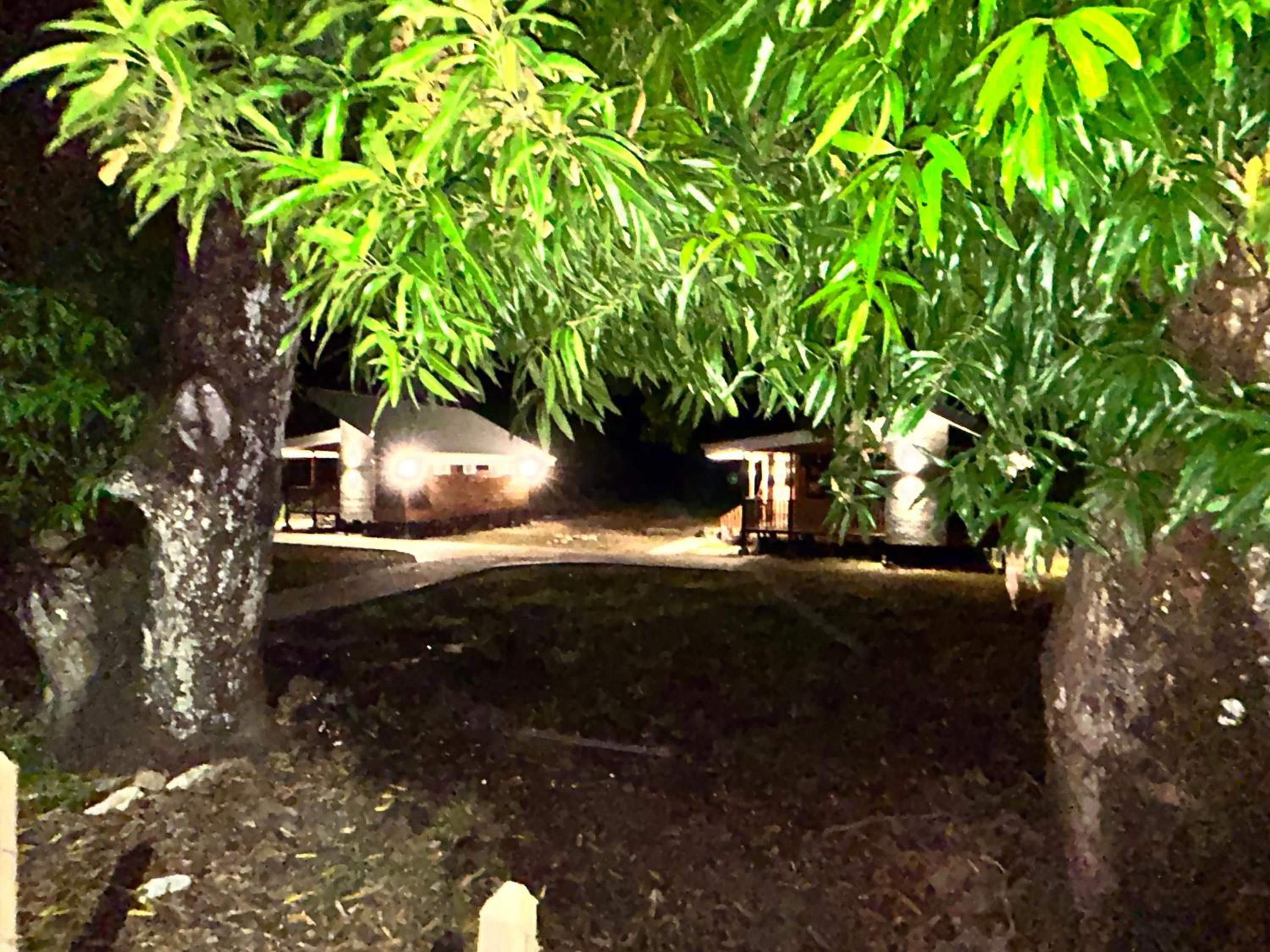 Eco casas mango lepanto