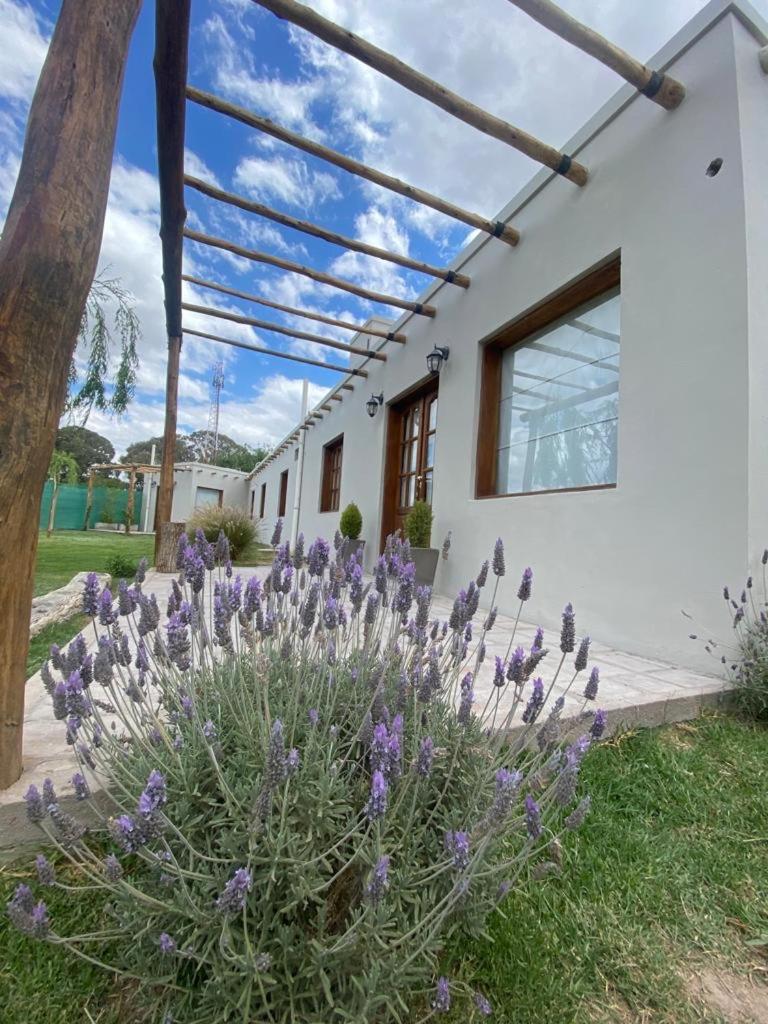 EL TOPON cabañas