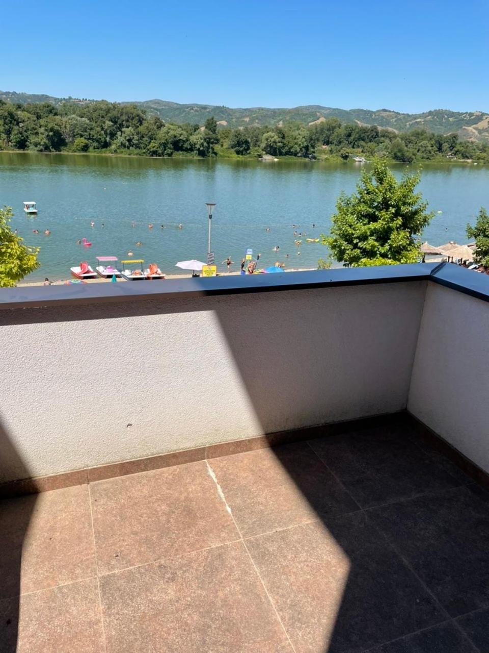 Apartman Milanovic view 4