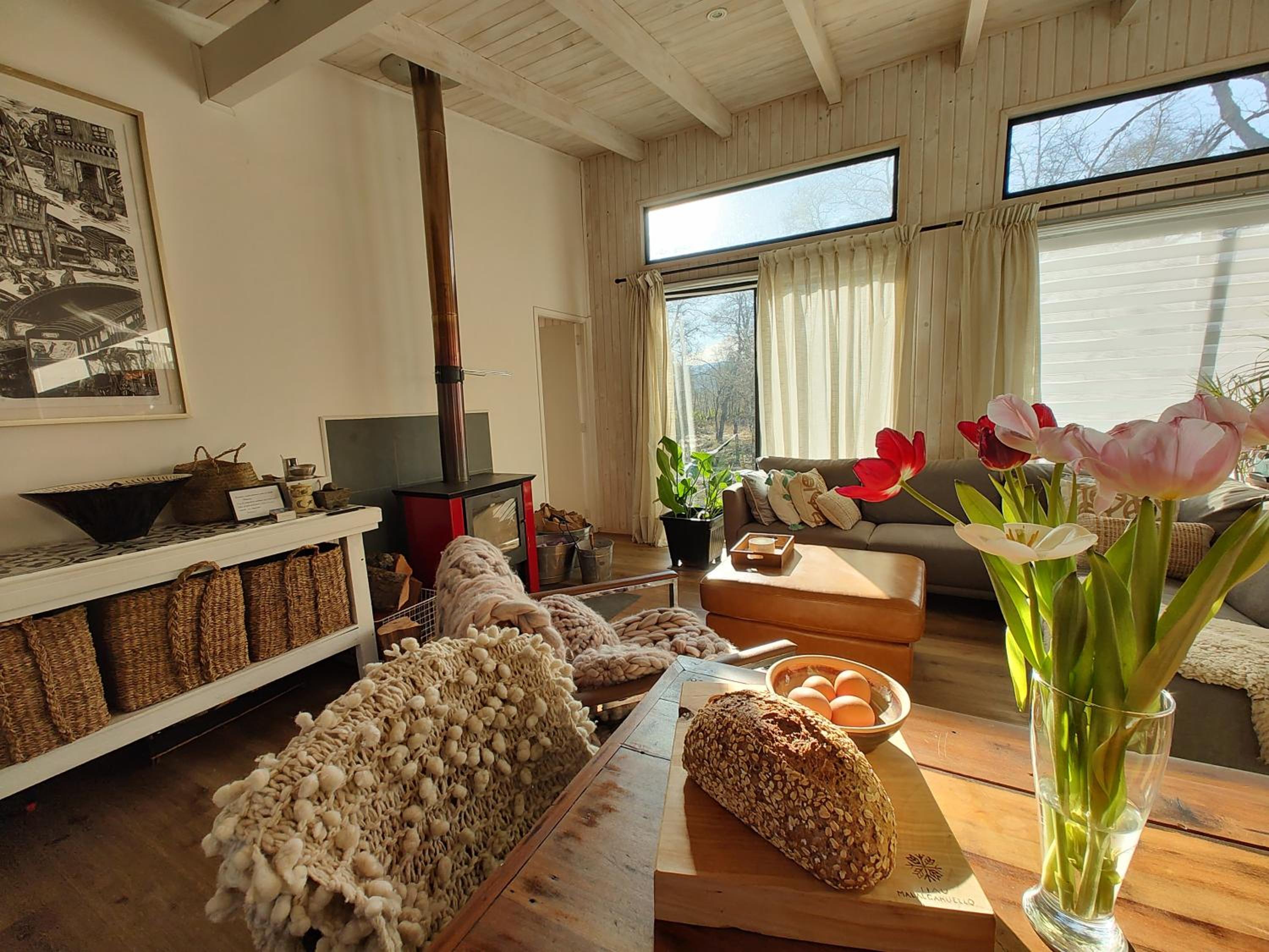 Hau Lodge Malalcahuello Corralco Starlink