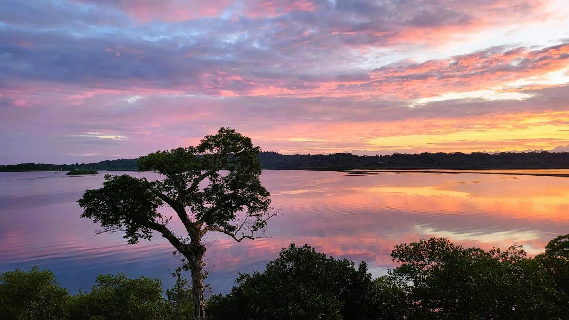 Solarte EcoLodge