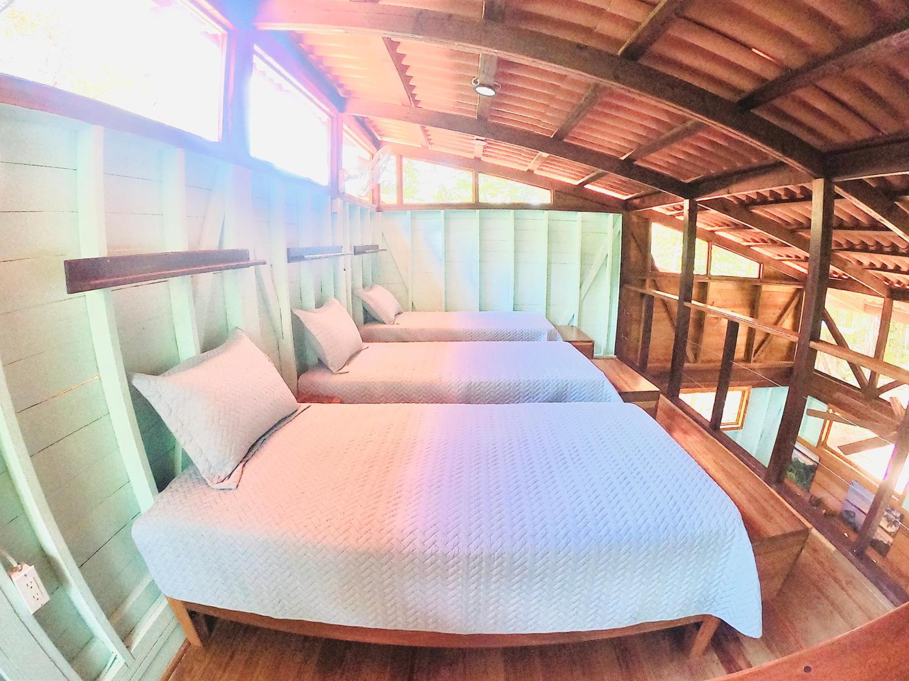 Solarte EcoLodge