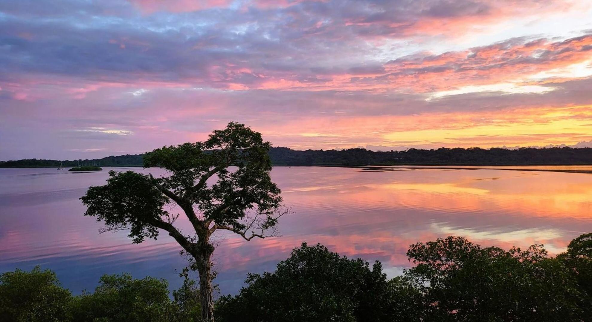 Solarte EcoLodge
