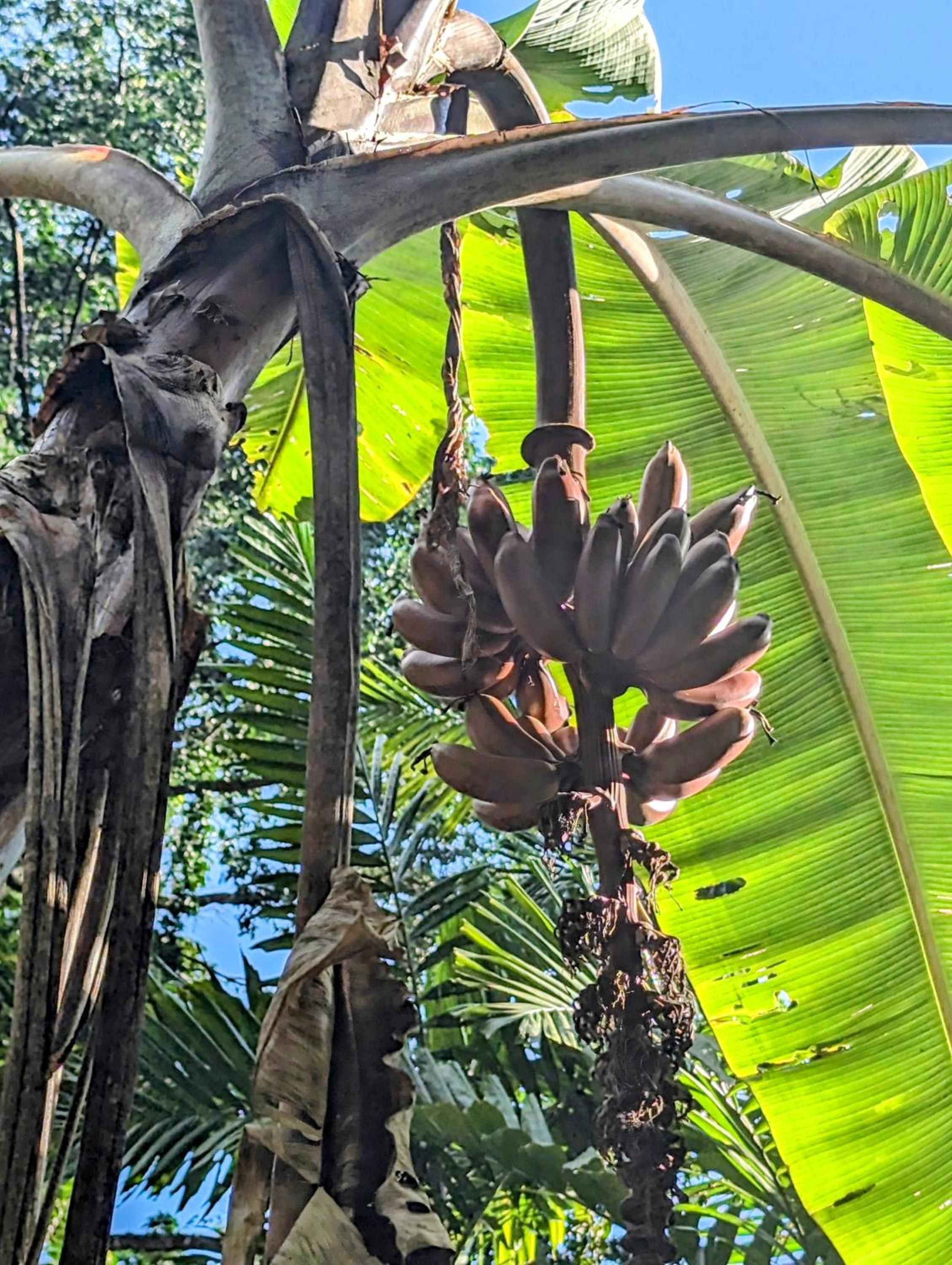 Solarte EcoLodge
