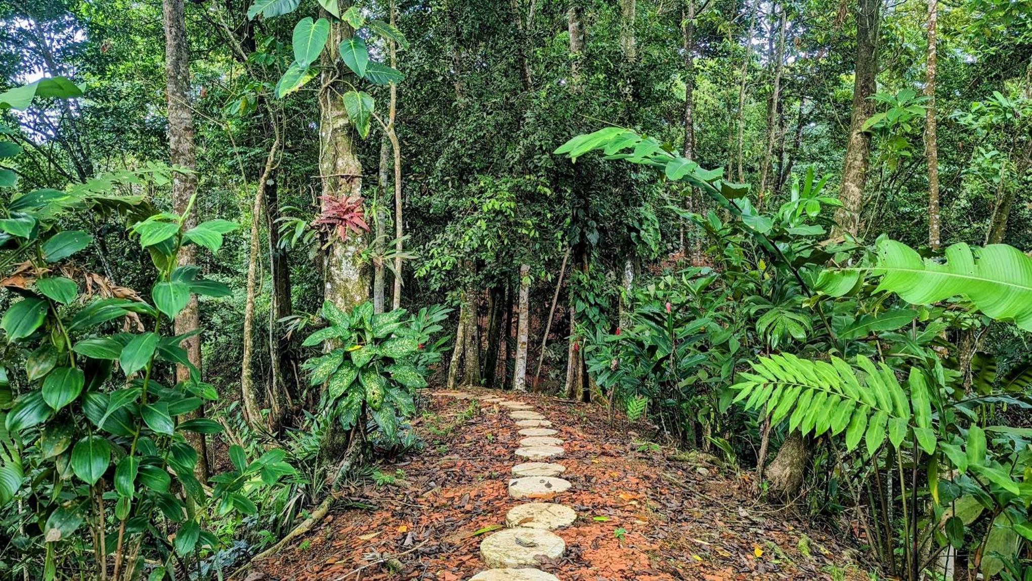 Solarte EcoLodge