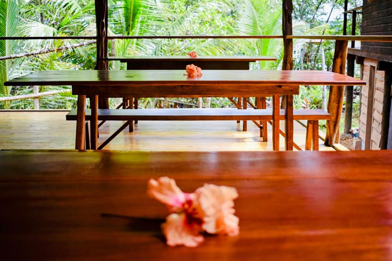 Solarte EcoLodge