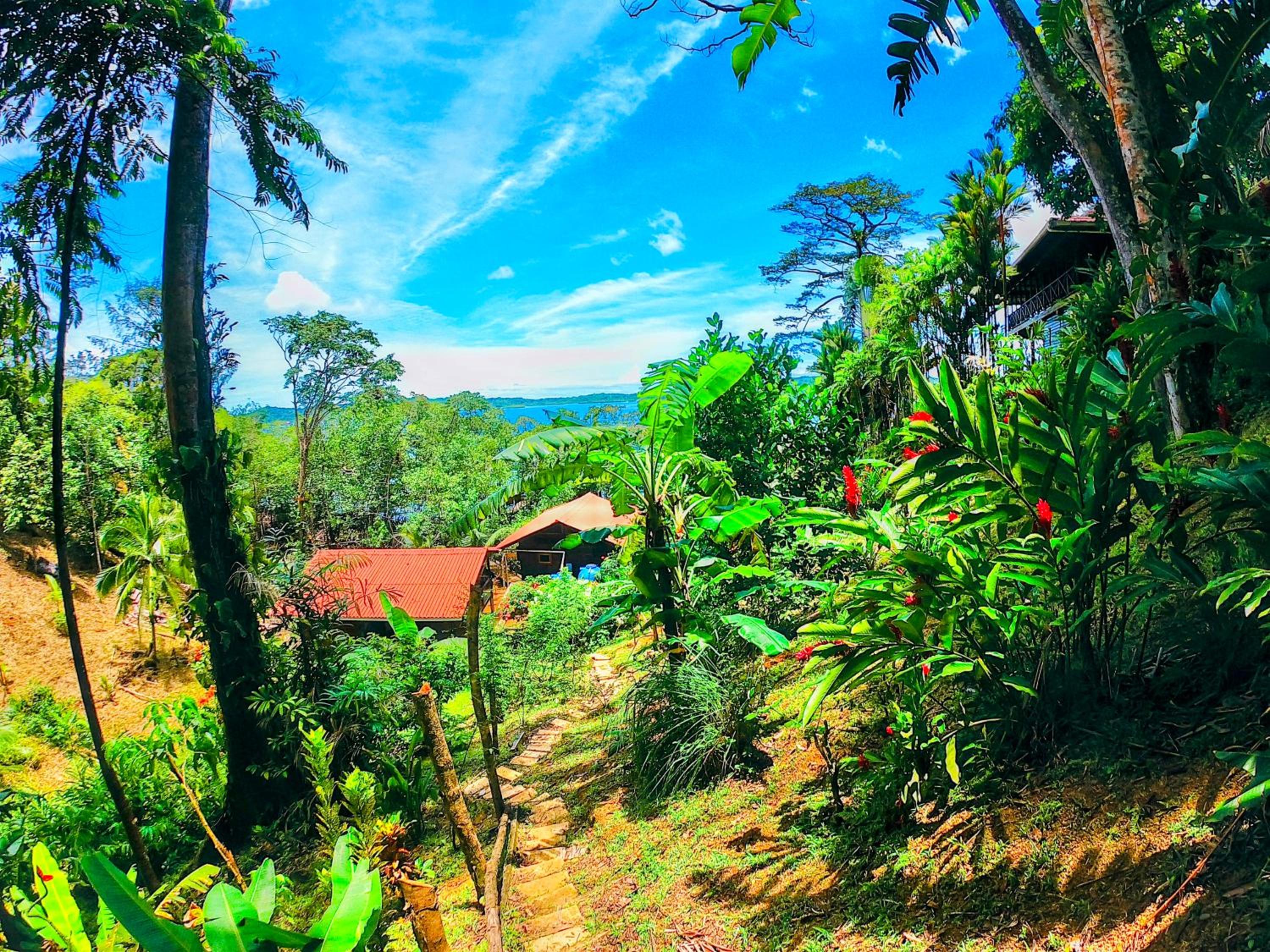 Solarte EcoLodge