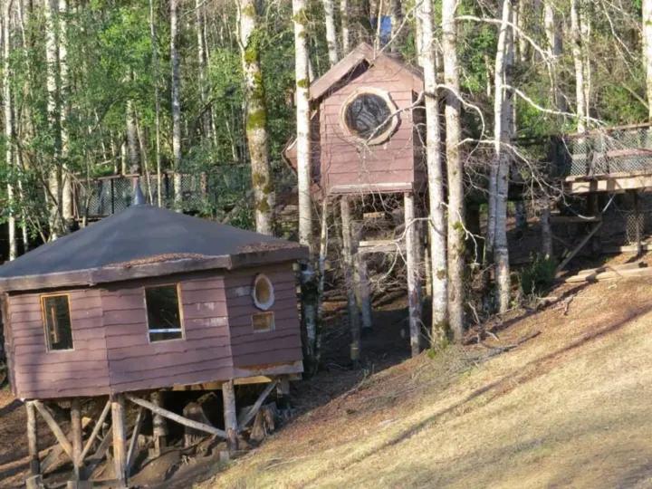 CASITA Neltume huilo huilo Chile