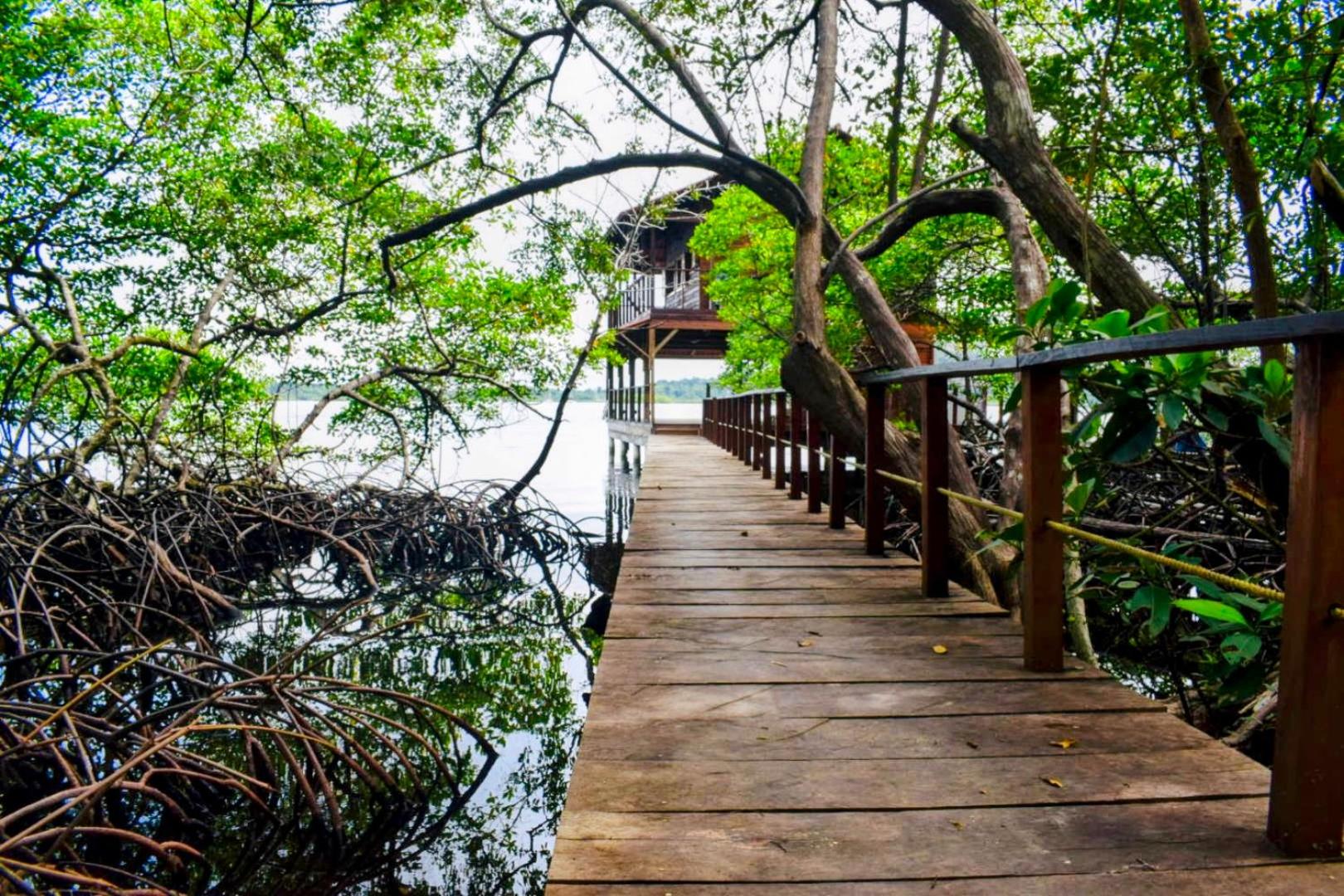 Solarte EcoLodge