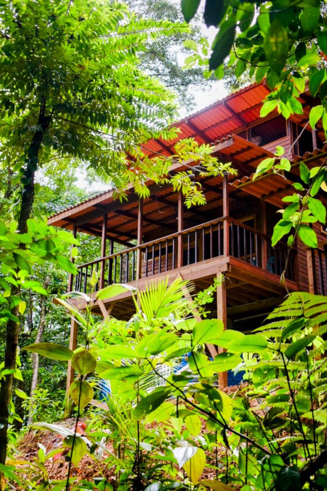 Solarte EcoLodge