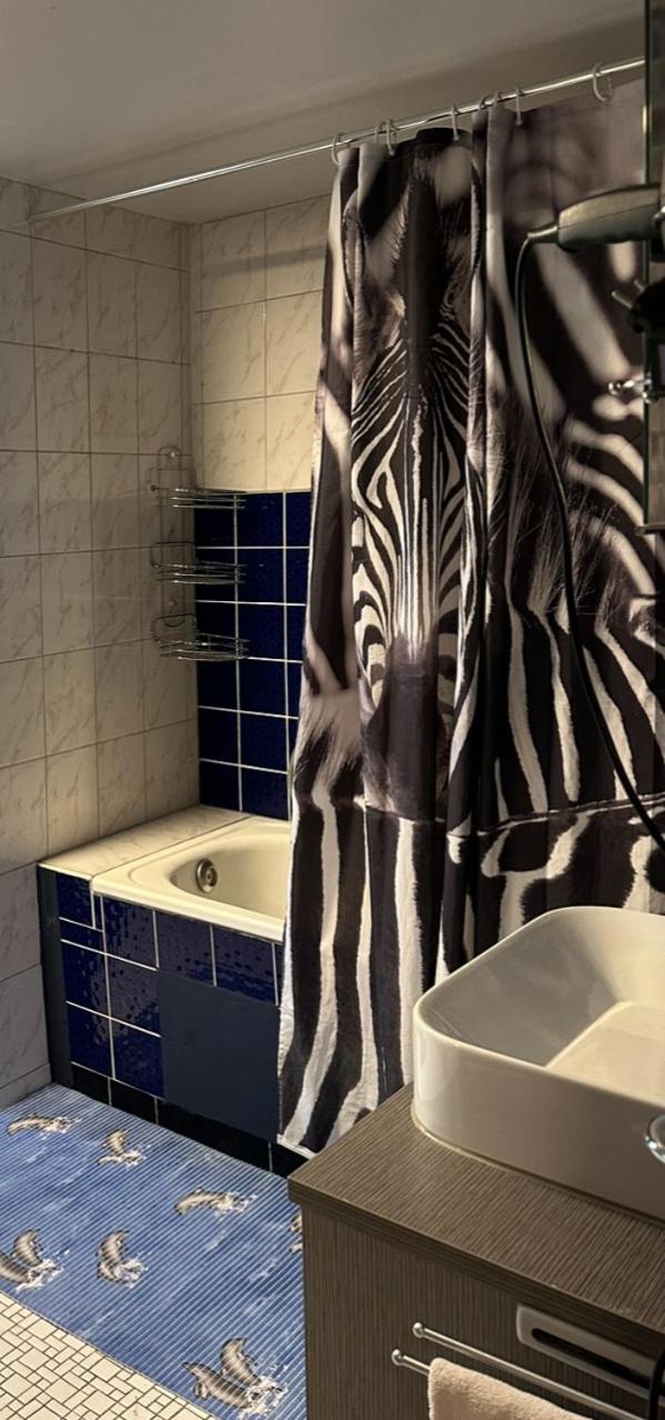Ferien & Monteur Wohnung 1 - Little Afrika Extensive 5 Zimmer Wohnung