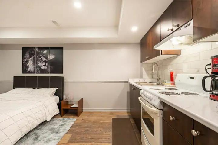 Modern, basement apartment, close to airport