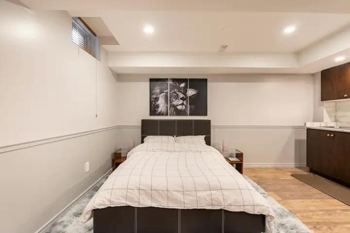 Modern, basement apartment, close to airport