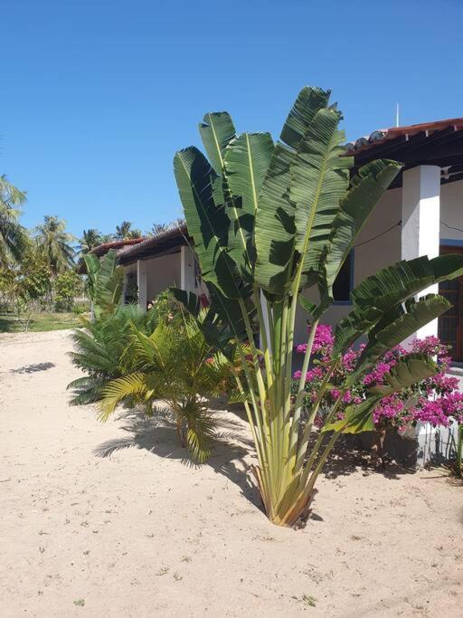 Casa Éden