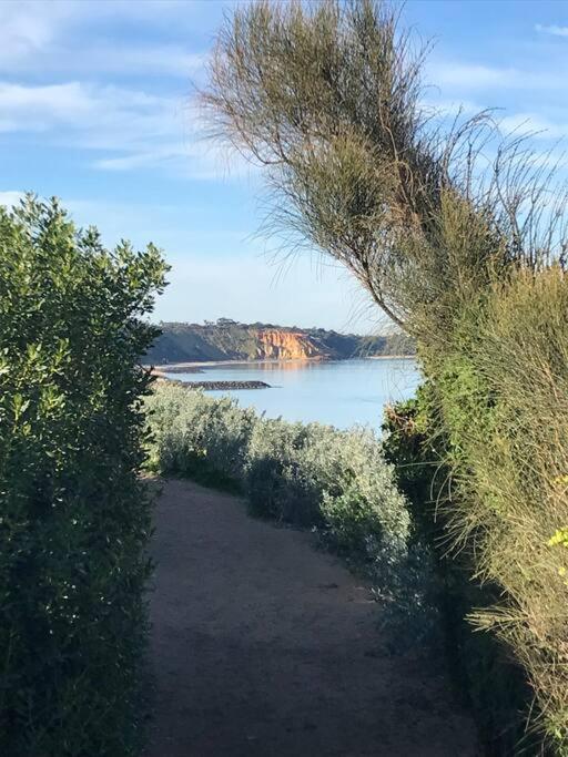 Penthouse in Sandringham with panoramic bay views