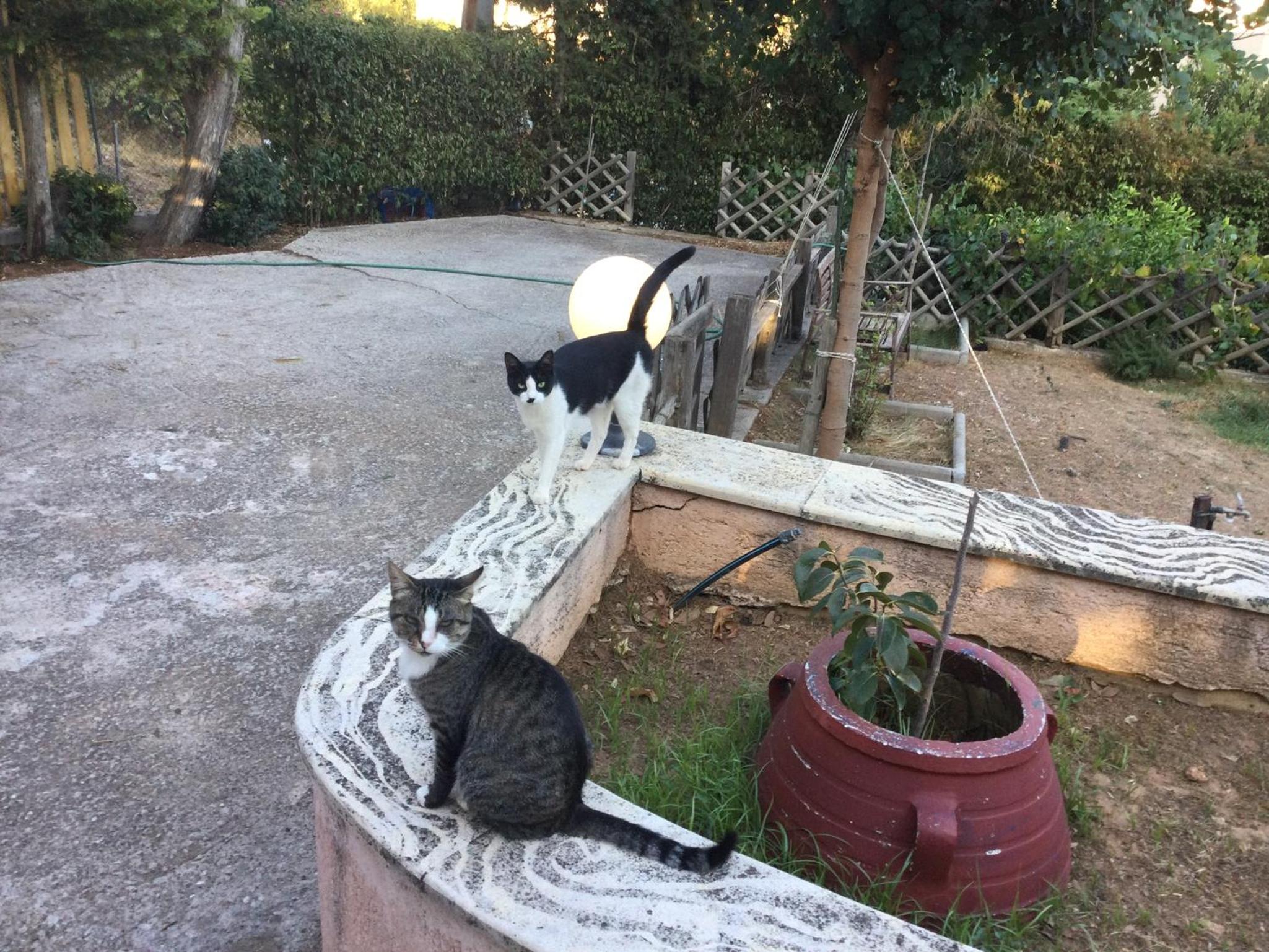 Bio Land Athens