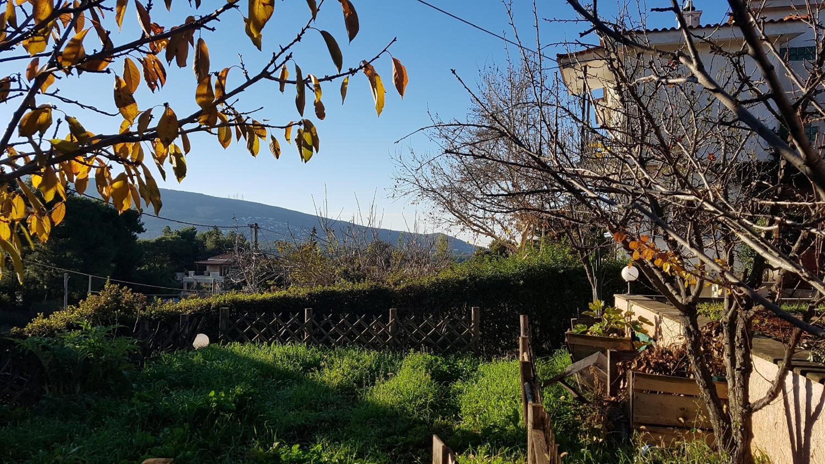 Bio Land Athens