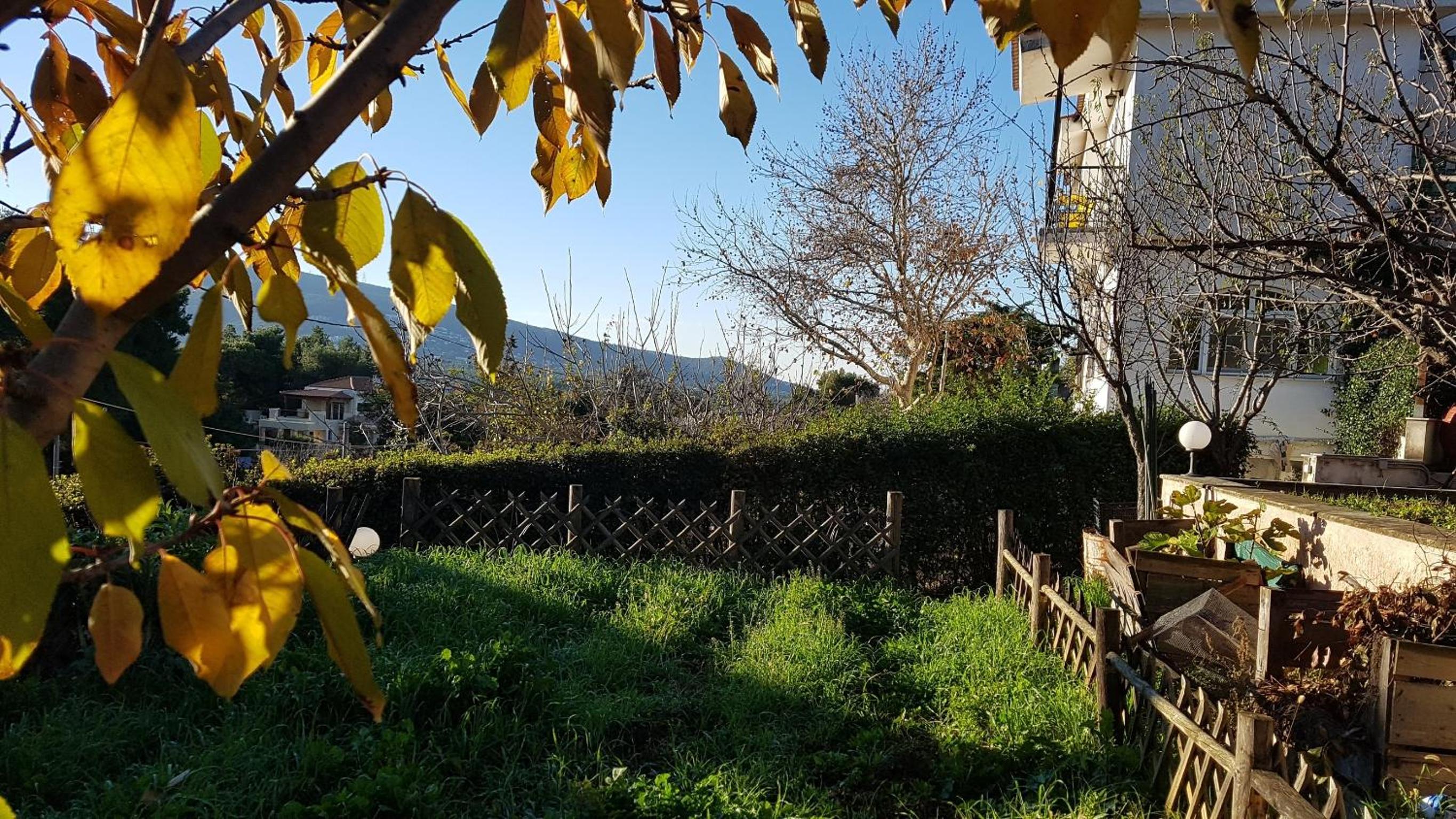 Bio Land Athens