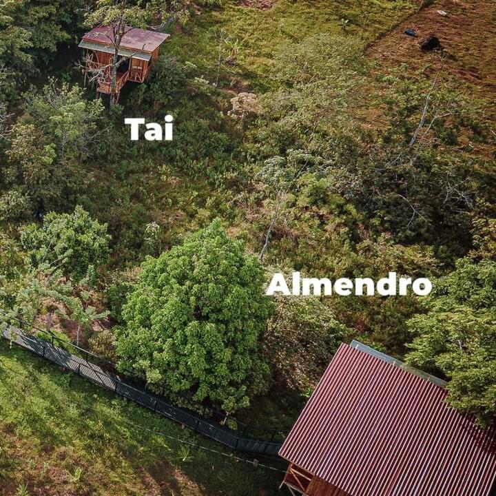 Onca Tours & Treehouses view 4