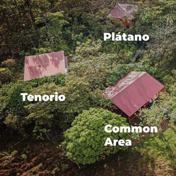 Onca Tours & Treehouses view 3