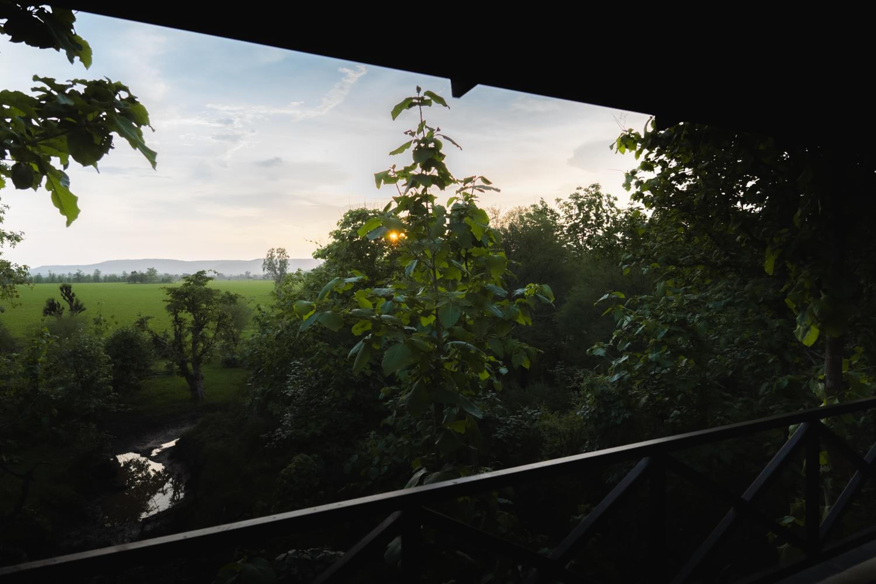 Treepie Safari Lodge