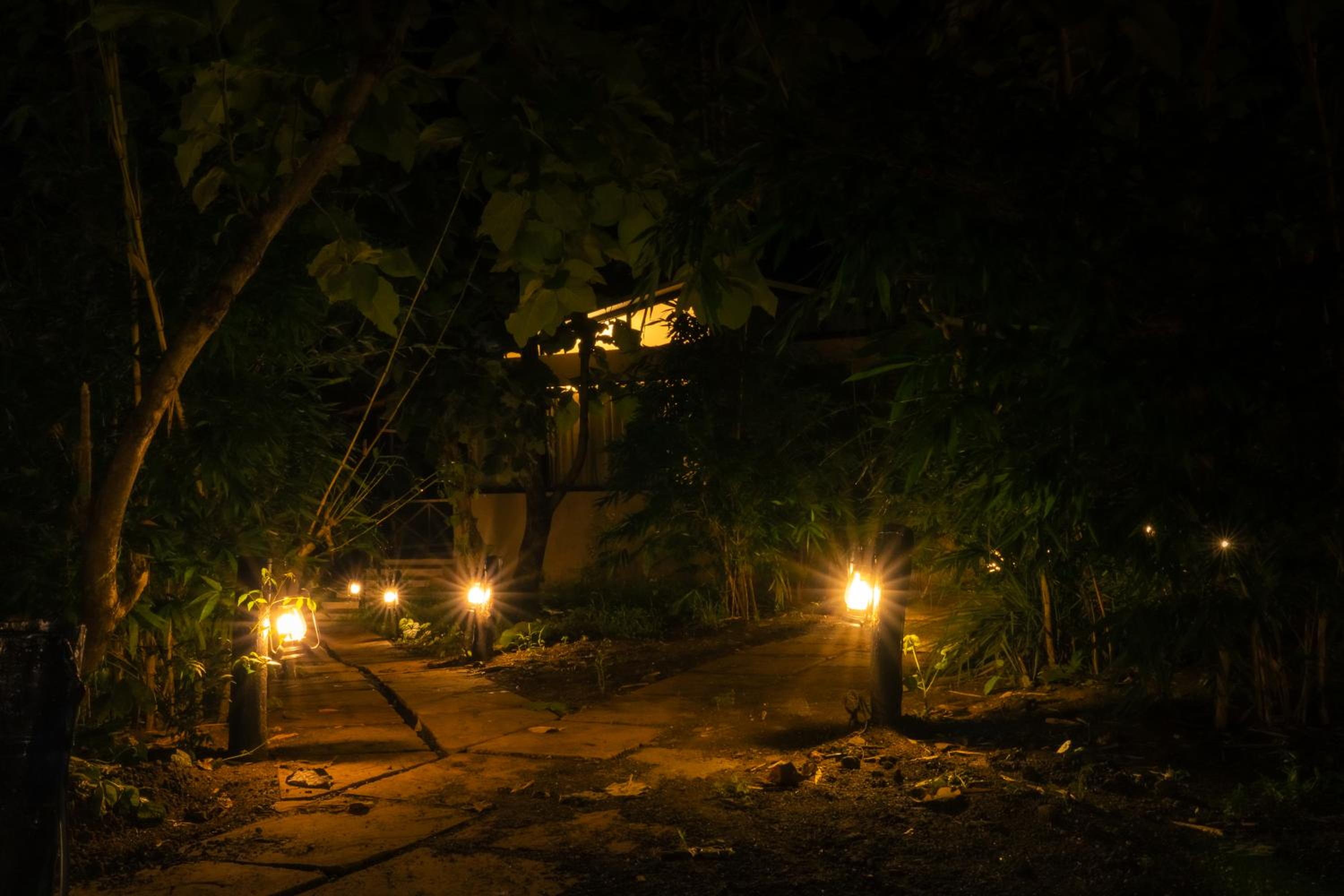Treepie Safari Lodge
