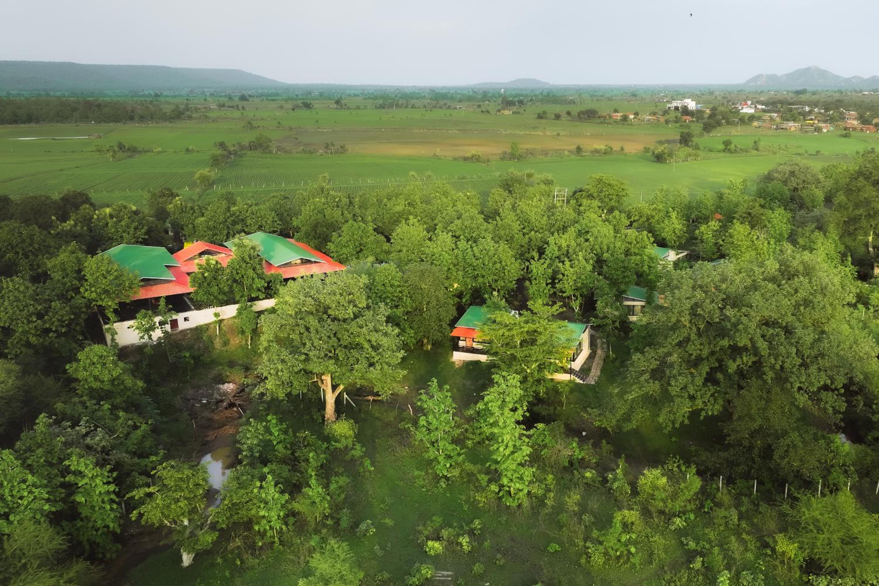 Treepie Safari Lodge