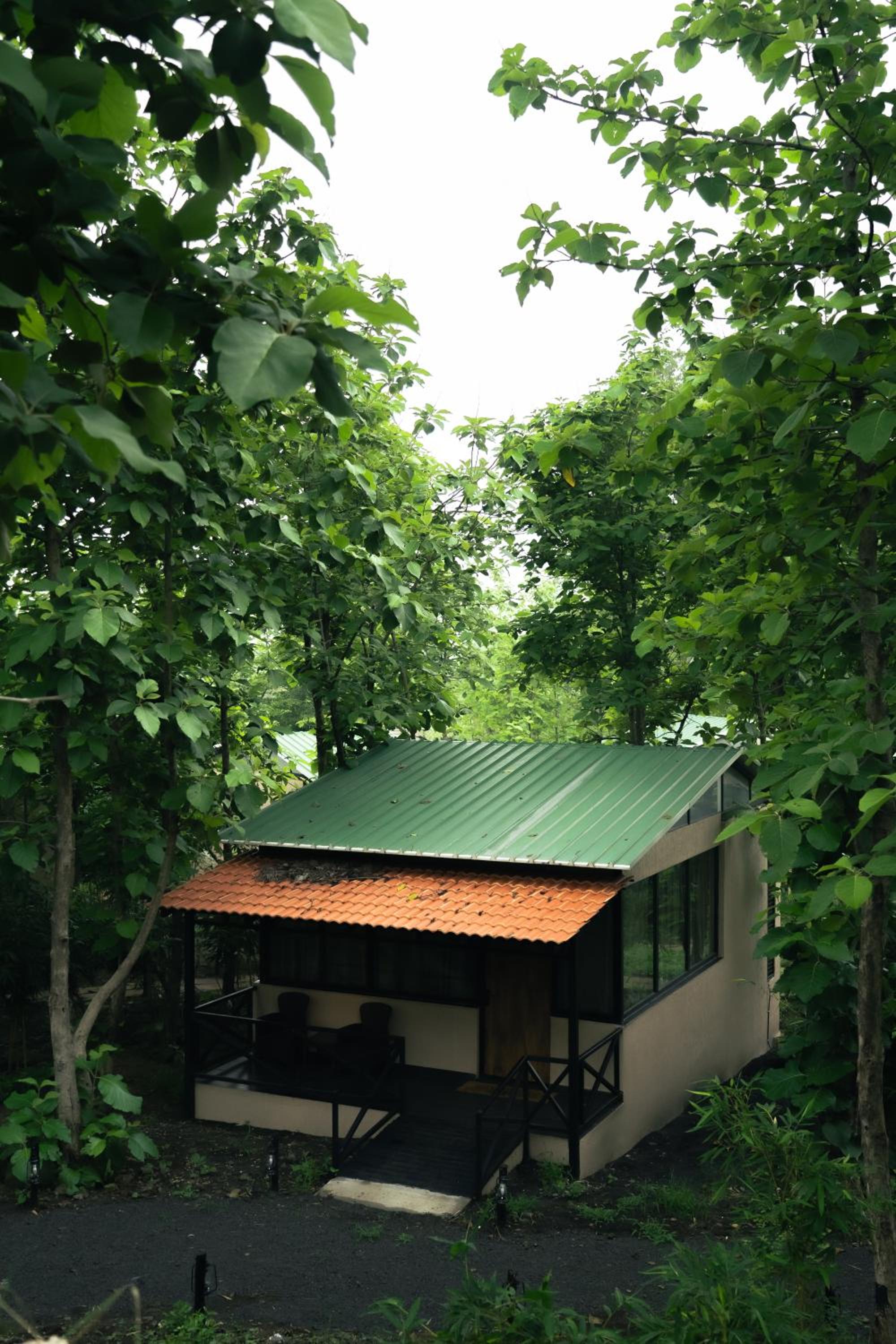Treepie Safari Lodge